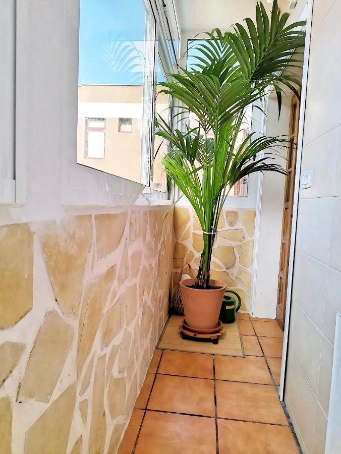 Apartamento Apartamento Vida Mediterranea Puerto de la Cruz  Exterior foto